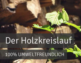 Der Holzkreislauf