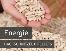 Energie & Restholz
